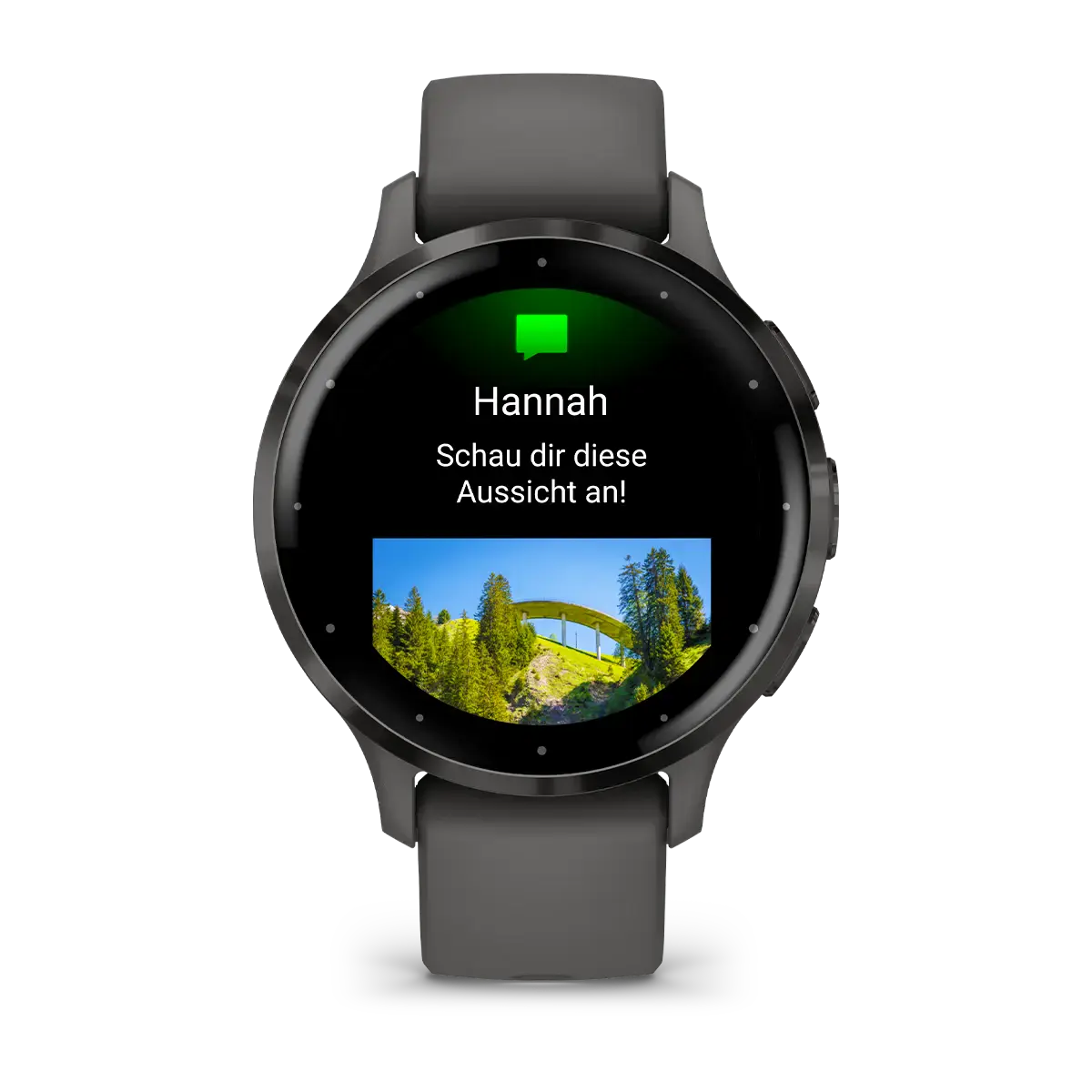 Смарт-годинник Garmin Venu 3S Slate Stainless Steel Bezel with Pebble Gray Case and Silicone Band (010-02785-00)