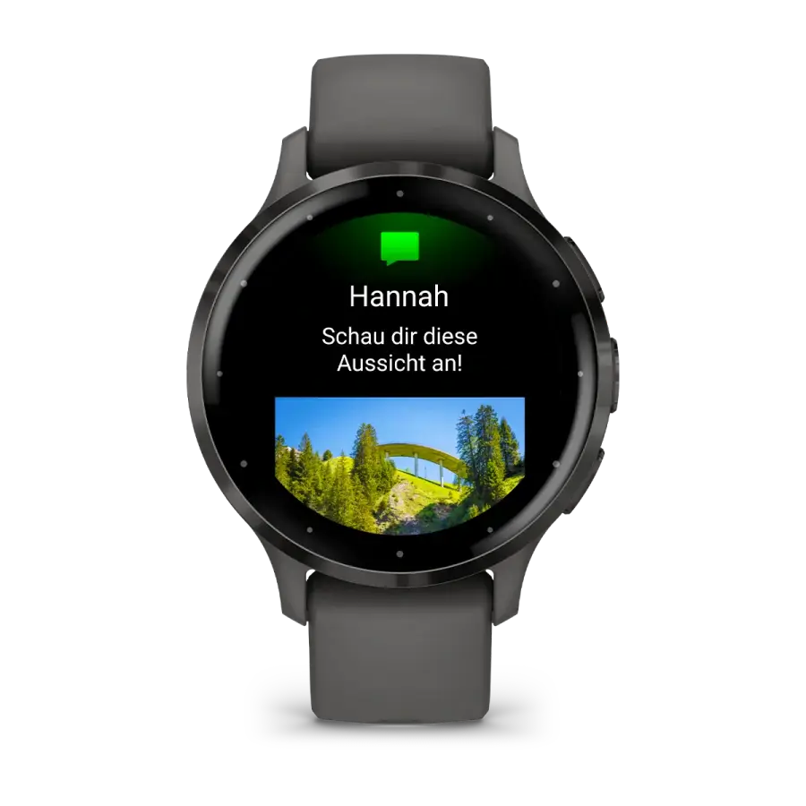 Смарт-годинник Garmin Venu 3S Slate Stainless Steel Bezel with Pebble Gray Case and Silicone Band (010-02785-00)