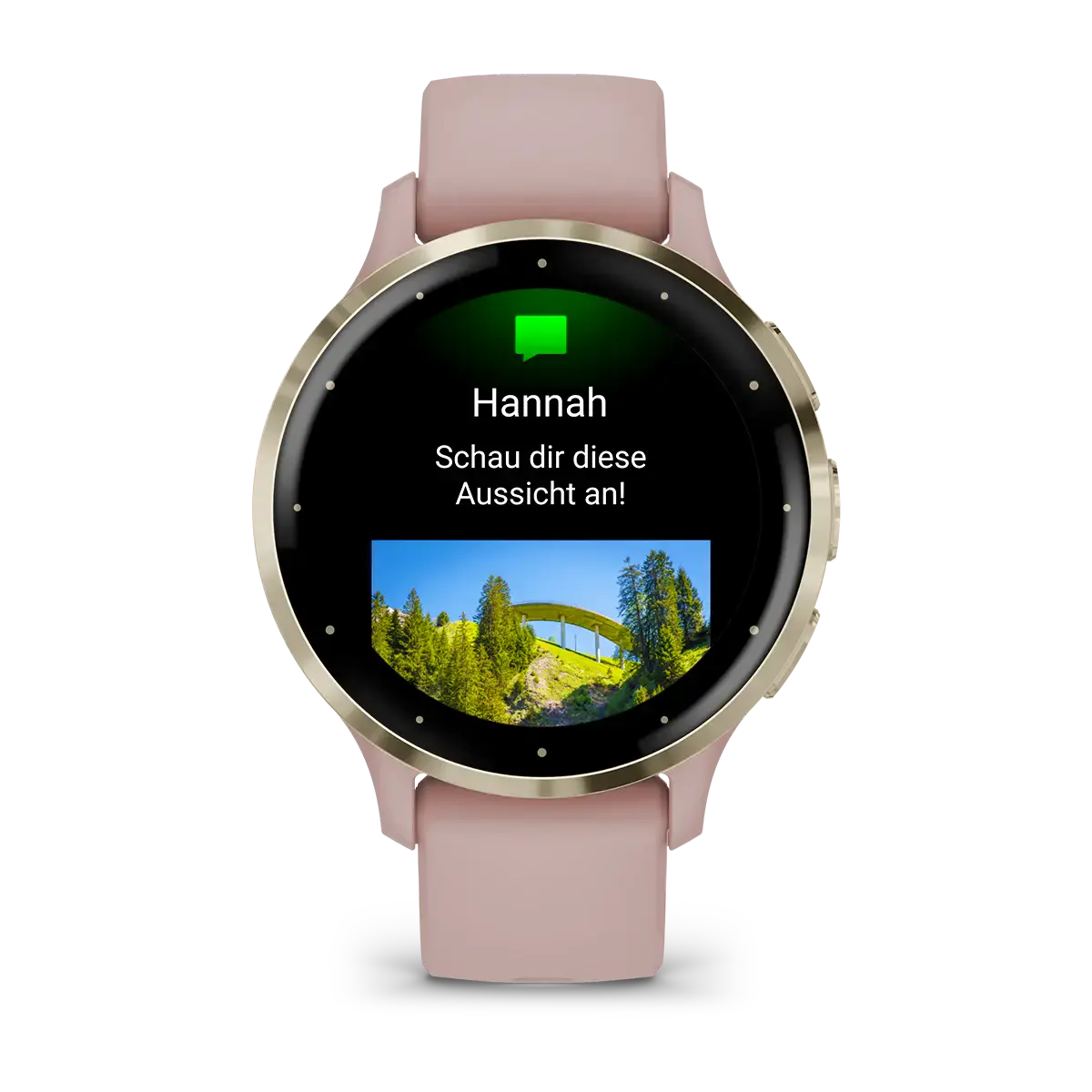 Смарт-годинник Garmin Venu 3S Soft Gold Stainless Steel Bezel with Dust Rose Case and Silicone Band (010-02785-03)