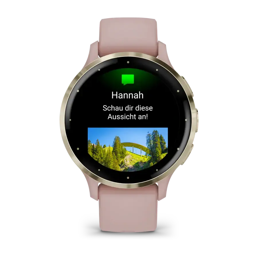 Смарт-годинник Garmin Venu 3S Soft Gold Stainless Steel Bezel with Dust Rose Case and Silicone Band (010-02785-03)