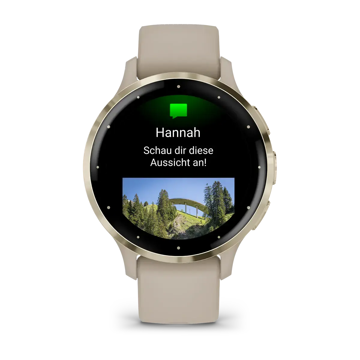 Смарт-годинник Garmin Venu 3S Soft Gold Stainless Steel Bezel with French Gray Case and Silicone Band (010-02785-02)