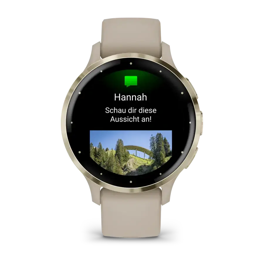 Смарт-годинник Garmin Venu 3S Soft Gold Stainless Steel Bezel with French Gray Case and Silicone Band (010-02785-02)