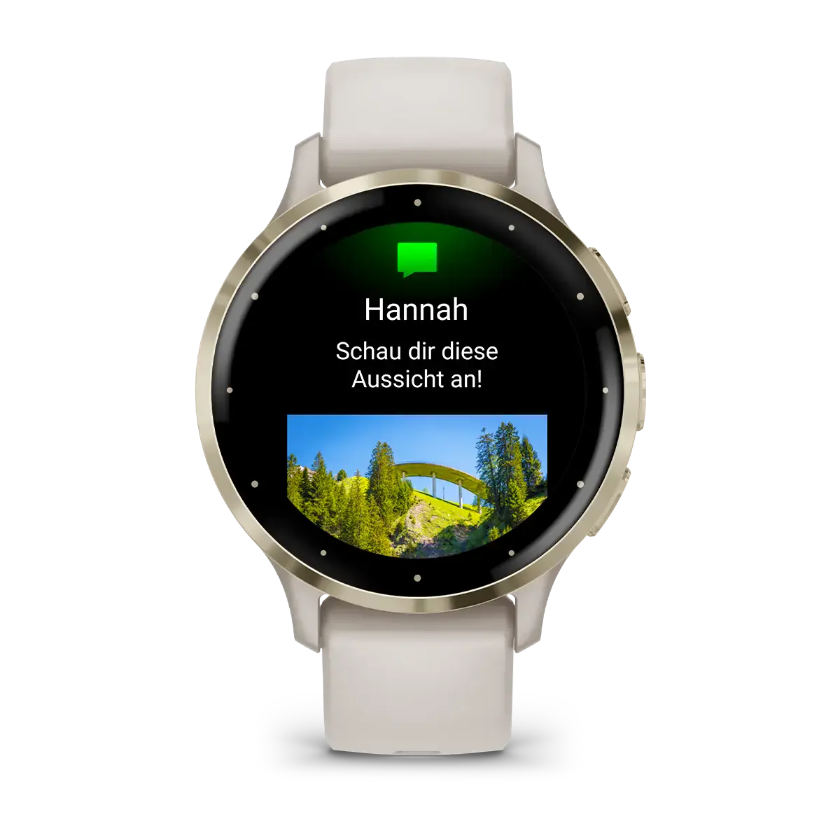 Смарт-часы Garmin Venu 3S Soft Gold Stainless Steel Bezel with Ivory Case and Silicone Band (010-02785-04)