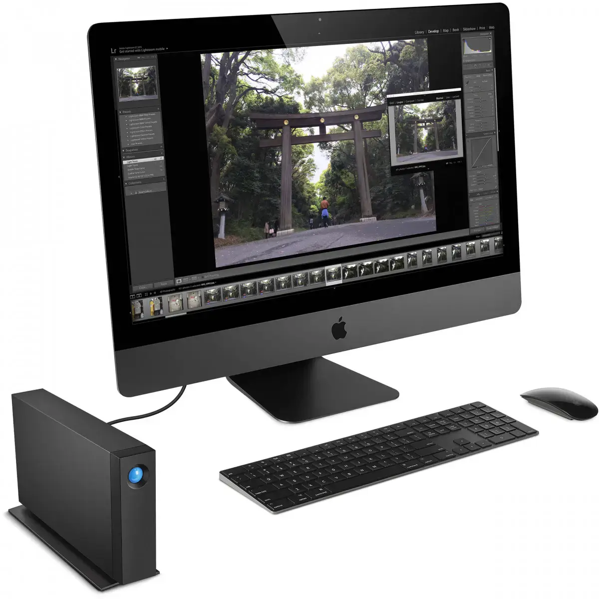 Жорсткий диск LaCie d2 Professional 4 TB (STHA4000800)