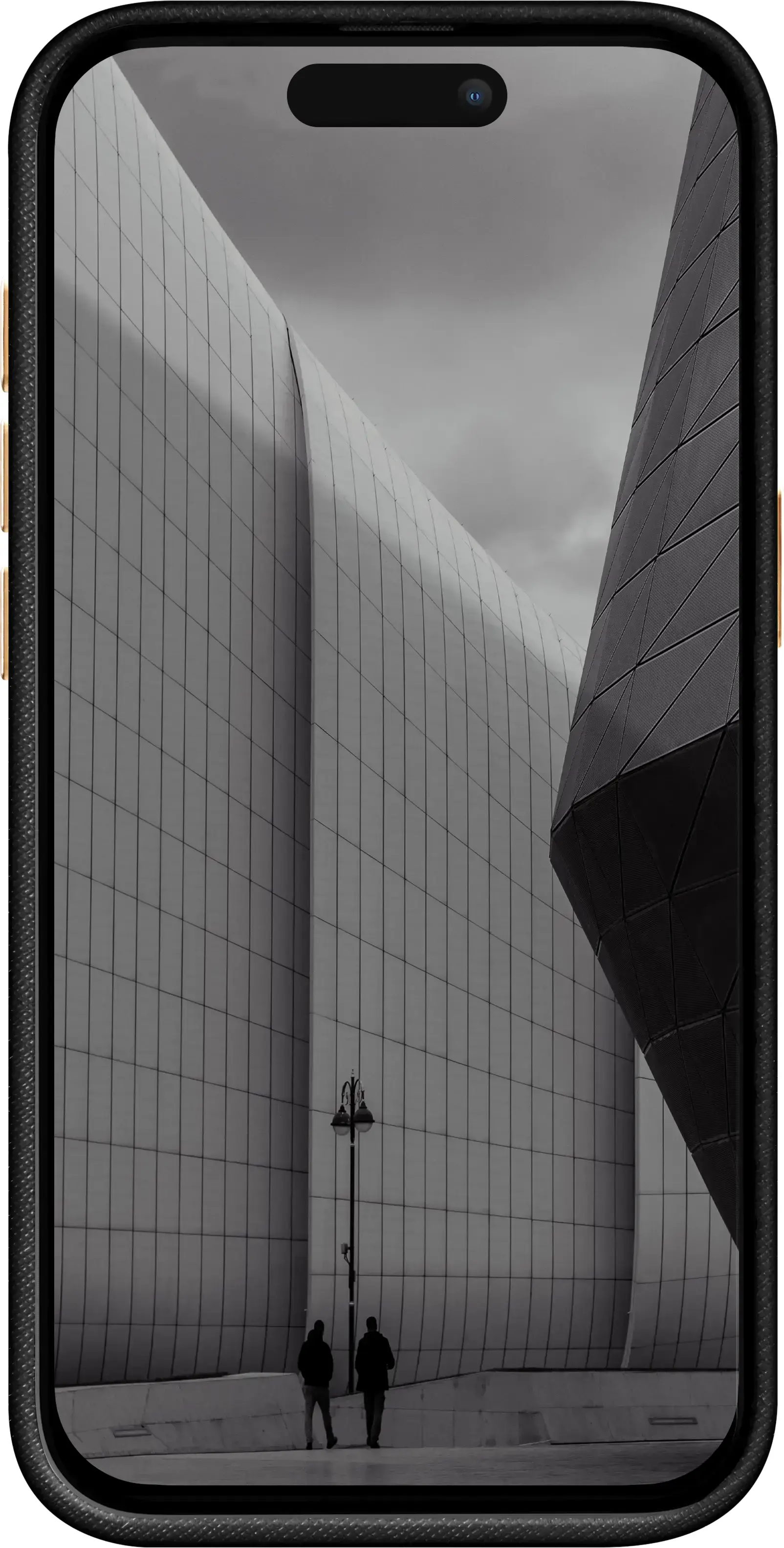 Чехол LAUT PRESTIGE case with MagSafe for iPhone 15 Pro (L_IP23B_PR_BK)