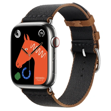 Apple Watch Hermès Series 9 GPS + Cellular 45mm Silver Stainless Steel Case with Noir/Gold Twill Jump Single Tour (MRQP3+MTHH3)