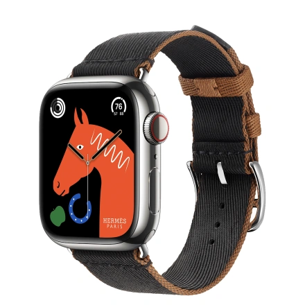 Apple Watch Hermès Series 9 GPS + Cellular 41mm Silver Stainless Steel Case with Noir/Gold Twill Jump Single Tour (MRQ43+MTHE3)
