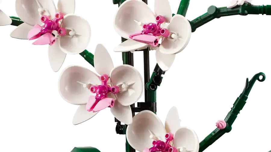 Блоковий конструктор LEGO Icons Орхідея (10311)