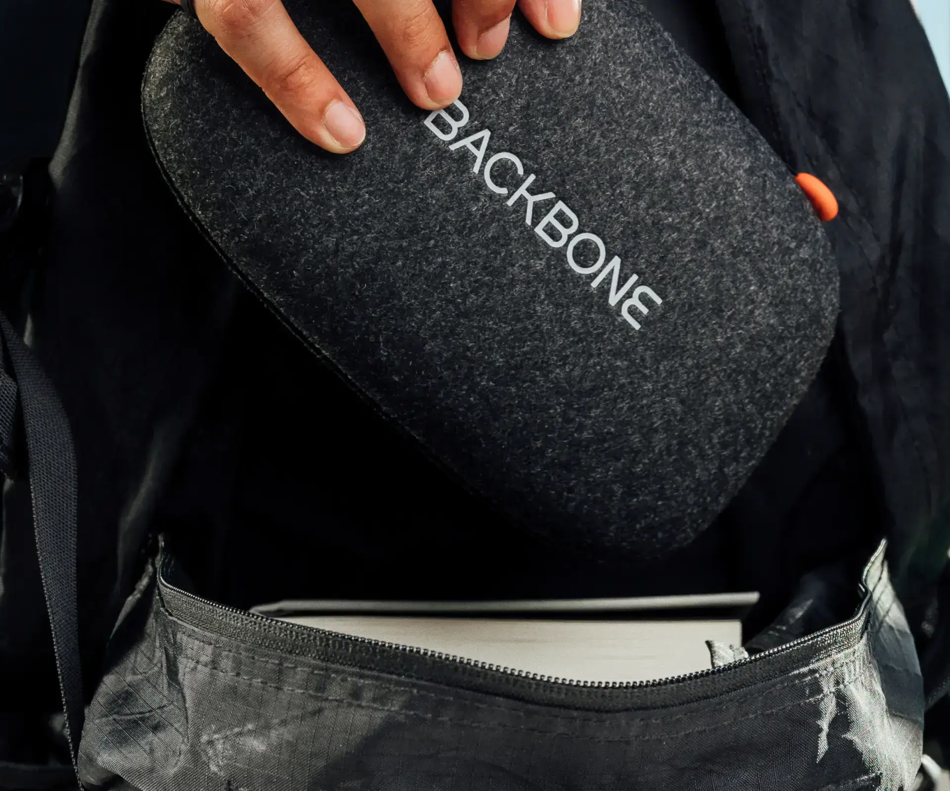 Кейс для транспортування Backbone One Carrying Case - Black (CC-01-BR)