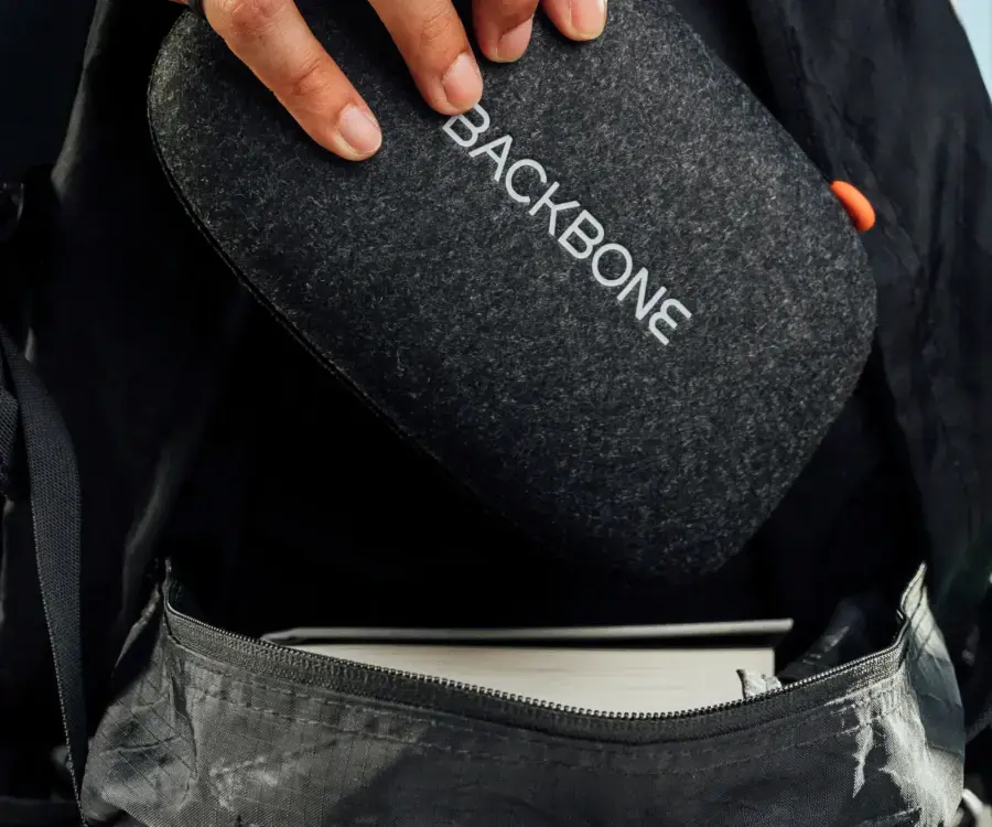 Кейс для транспортировки Backbone One Carrying Case - Black (CC-01-BR)