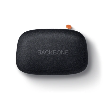 Кейс для транспортировки Backbone One Carrying Case - Black (CC-01-BR)