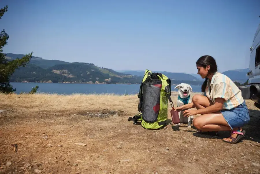 Портативна колонка Bose Soundlink Flex Bluetooth Speaker - Carmine Red (865983-0400)