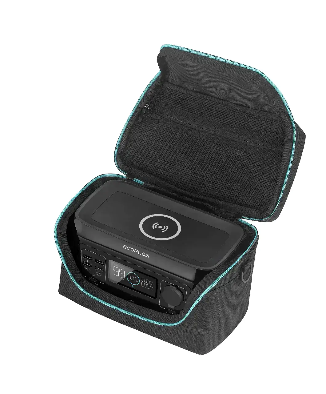 Сумка EcoFlow RIVER mini Bag (BRIVERmini)