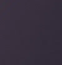 Dark Violet