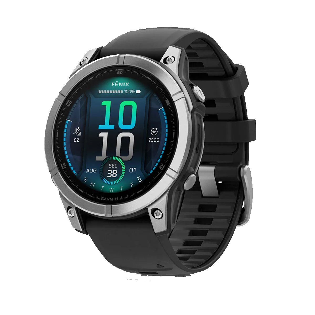 Смарт-часы Garmin fenix E 47 mm Stainless Steel with Black Silicone Band (010-03025-00)