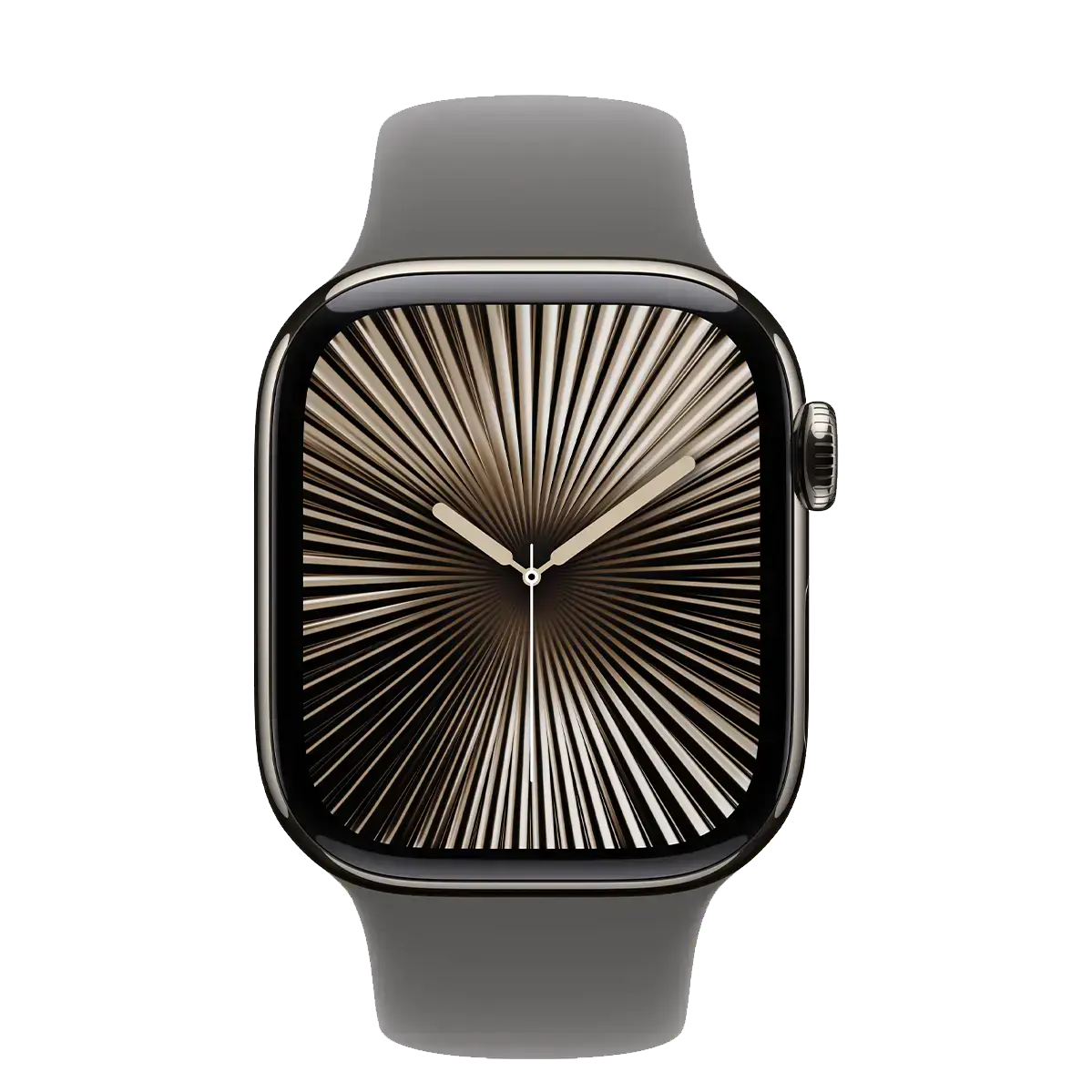 Apple Watch Series 10 GPS + Cellular 42mm Natural Titanium Case with Stone Gray Sport Band - M/L (MWXE3)