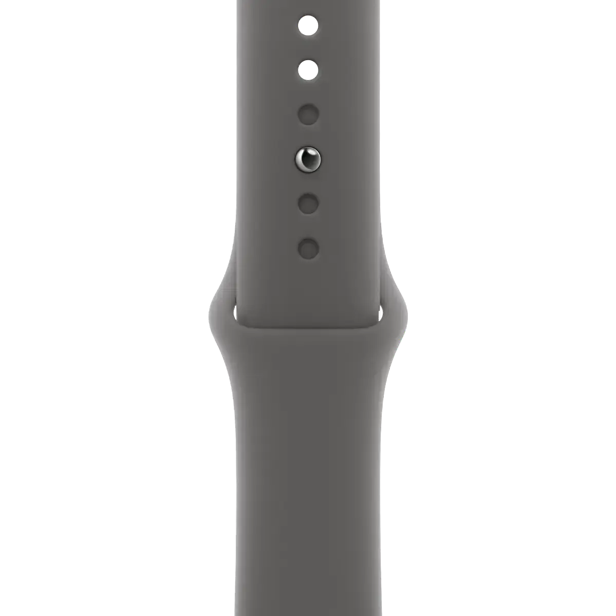 Apple Watch Series 10 GPS + Cellular 42mm Natural Titanium Case with Stone Gray Sport Band - M/L (MWXE3)