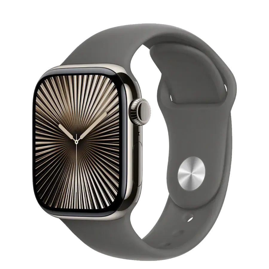 Apple Watch Series 10 GPS + Cellular 42mm Natural Titanium Case with Stone Gray Sport Band - M/L (MWXE3)