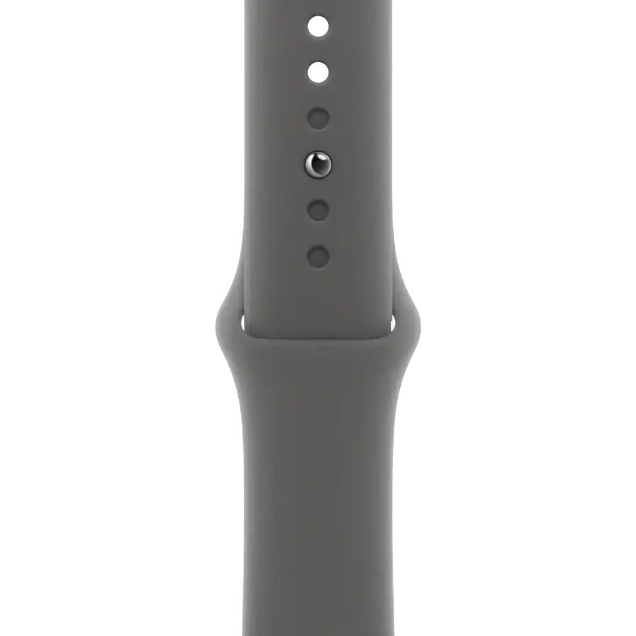 Apple Watch Series 10 GPS + Cellular 46mm Natural Titanium Case with Stone Gray Sport Band - S/M (MWY93)