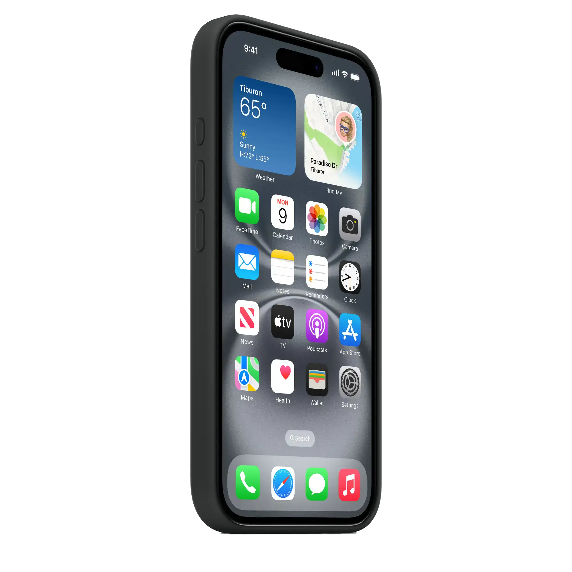 Чохол Apple iPhone 16 Silicone Case with MagSafe - Black (MYY13)