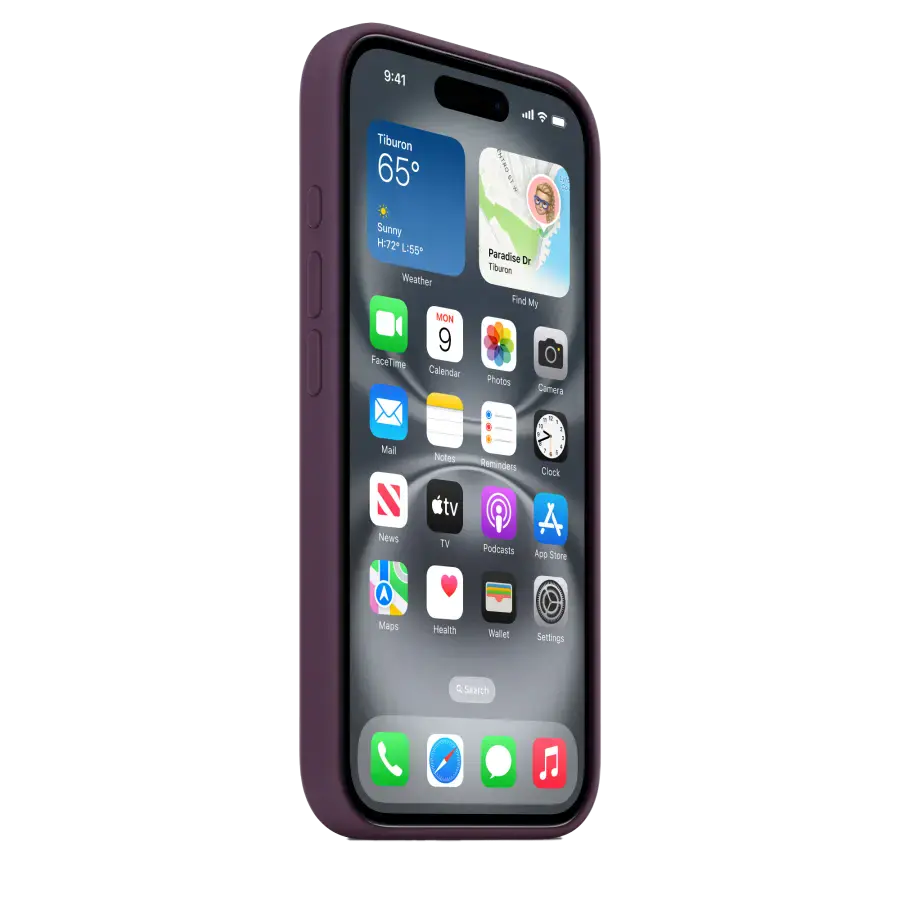 Чохол Apple iPhone 16 Silicone Case with MagSafe - Plum (MYY43)