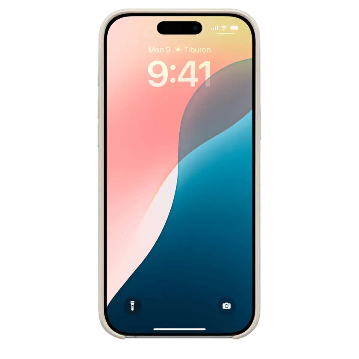 Чохол Beats для iPhone 16 Pro Max з MagSafe and Camera Control - Summit Stone (MCFR4)