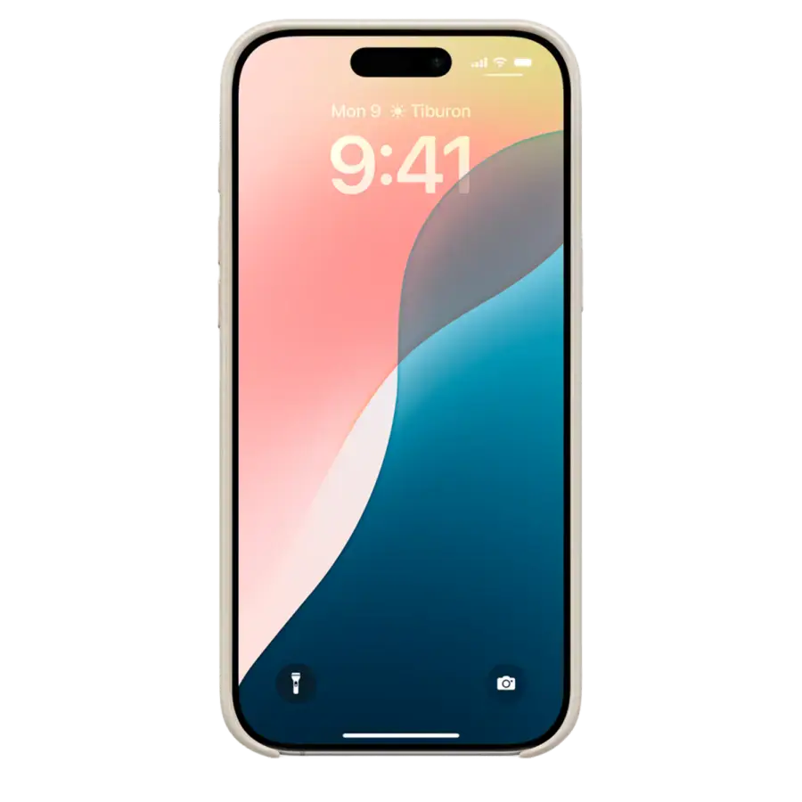 Чохол Beats для iPhone 16 Pro Max з MagSafe and Camera Control - Summit Stone (MCFR4)