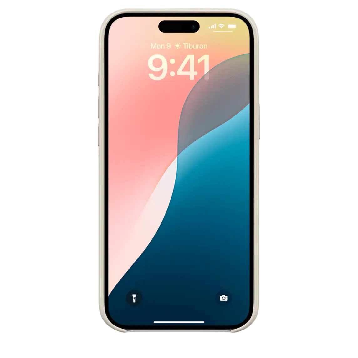 Чехол Beats для iPhone 16 Plus с MagSafe and Camera Control - Summit Stone (MCFH4)