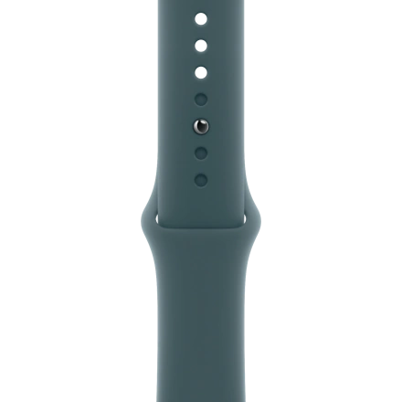 Ремінець Apple Sport Band M/L для Apple Watch 44/45/46/49mm - Lake Green (MXLR3)