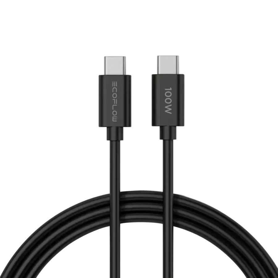 Зарядний пристрій EcoFlow RAPID 65W GaN Charger with 100W Cable (EFA-65W-GAN-CHARGER-EU)