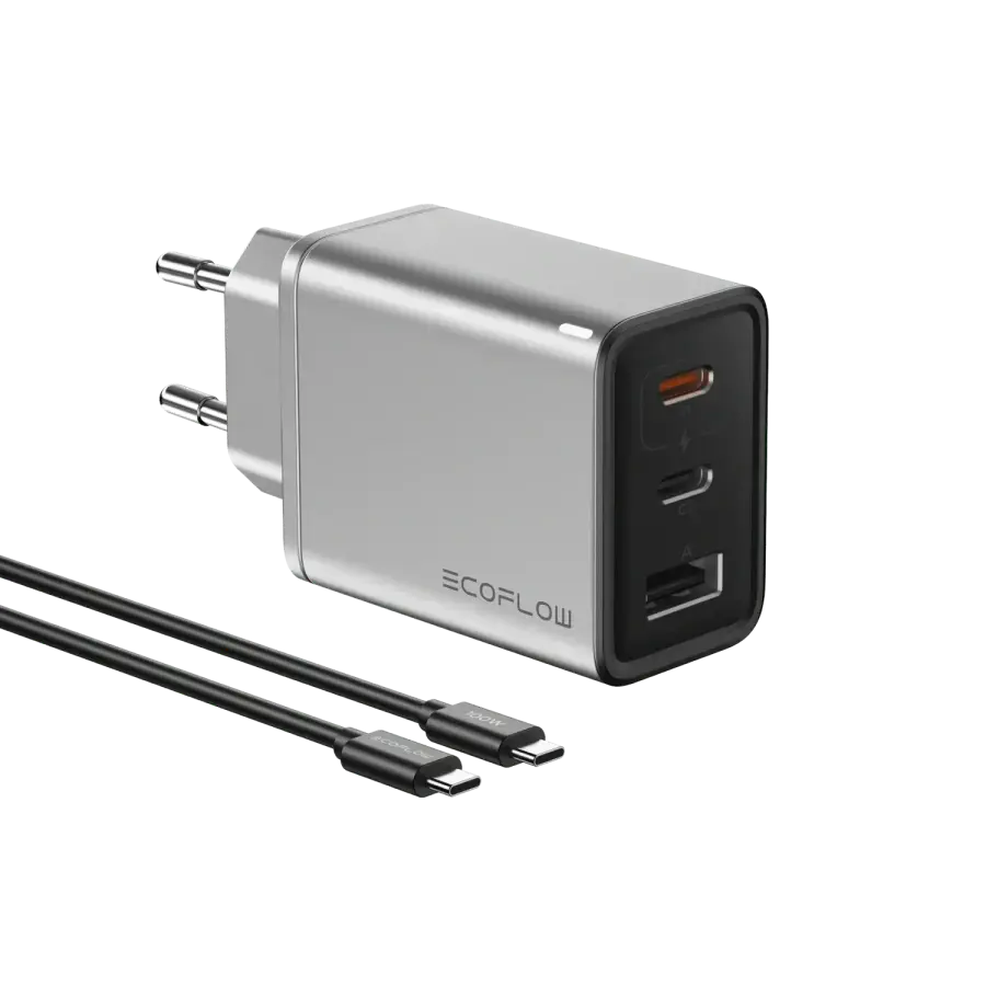 Зарядний пристрій EcoFlow RAPID 65W GaN Charger with 100W Cable (EFA-65W-GAN-CHARGER-EU)