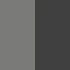 Black/Pebble Gray