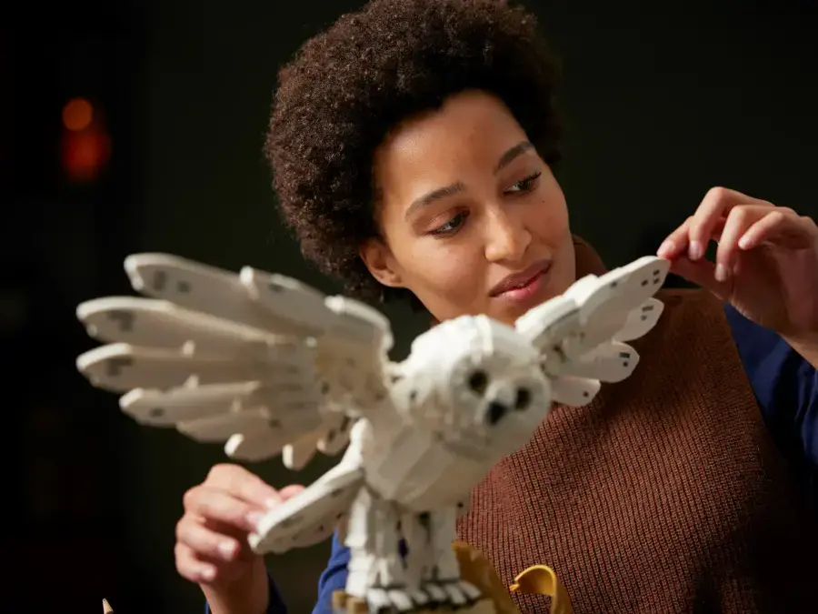 Блоковий конструктор LEGO Harry Potter Колекційний набір Хогвартс (76391)