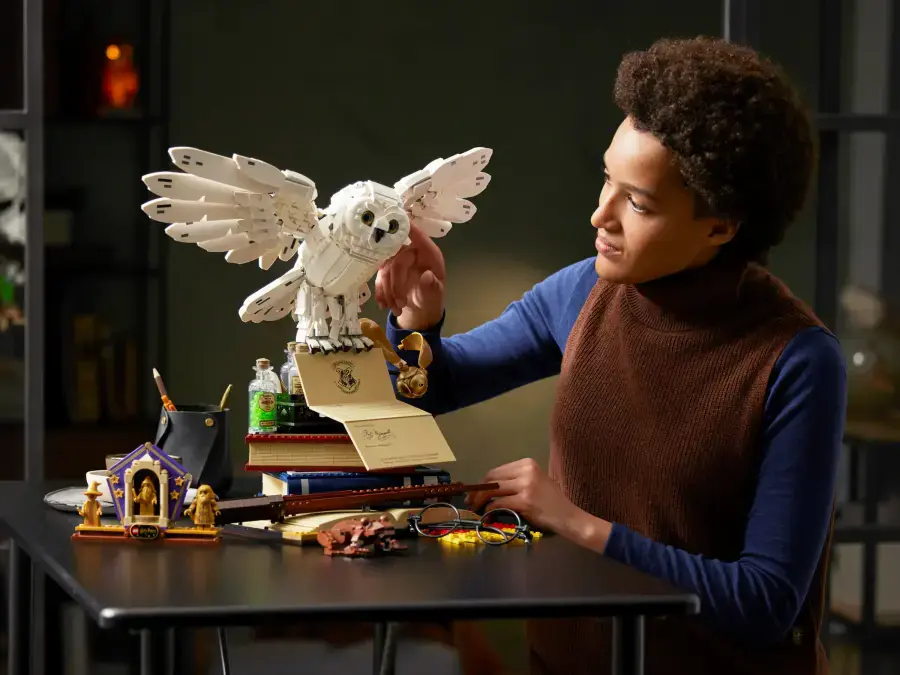 Блоковий конструктор LEGO Harry Potter Колекційний набір Хогвартс (76391)