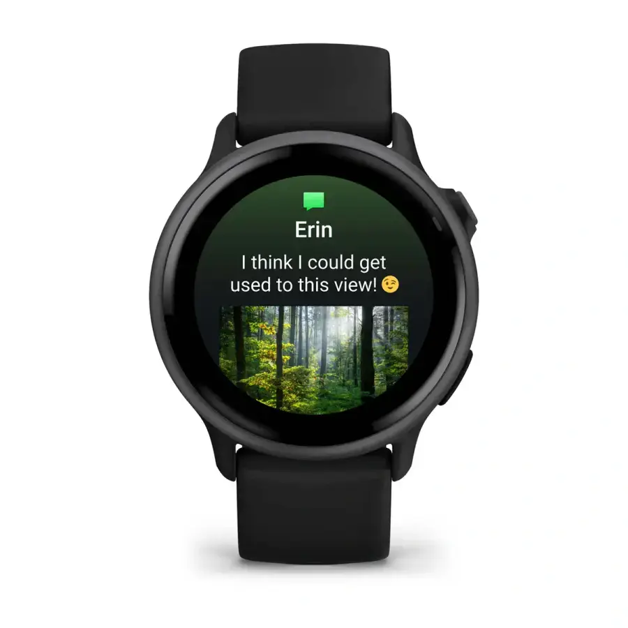 Смарт-годинник Garmin Vivoactive 6 Slate with Black Band (010-02985-00)