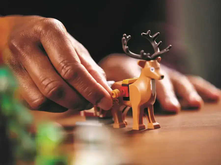 Блоковый конструктор LEGO Creator Expert Дом эльфов (10275)