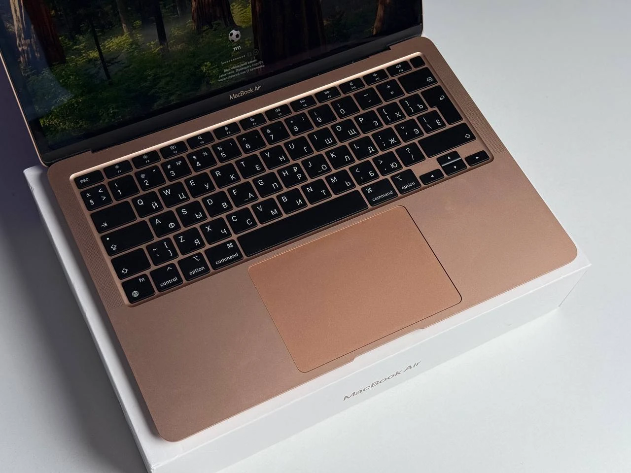 ВЖИВАНИЙ MacBook Air 13 M1/8CPU/7GPU/8GB/256GB Gold 2020 (MGND3) | Apple M1 | 8-ядерний процесор | 7-ядерний графічний процесор | 256 ГБ SSD | 8 ГБ об'єднаної пам'яті | Стан: гарний | Акумулятор: 96% | Гарантія: 3 місяці | Комплект: повний