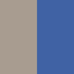 Blue/Gray