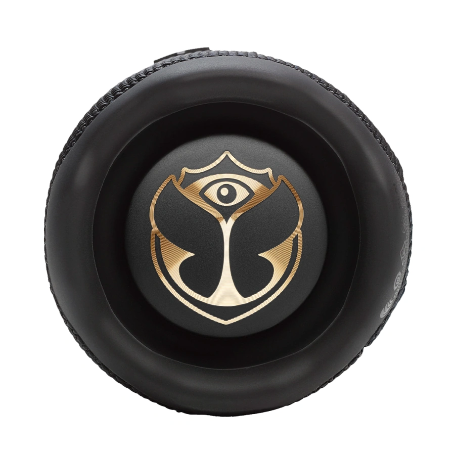 Колонка JBL Flip 7 Tomorrowland (JBLFLIP7TML)