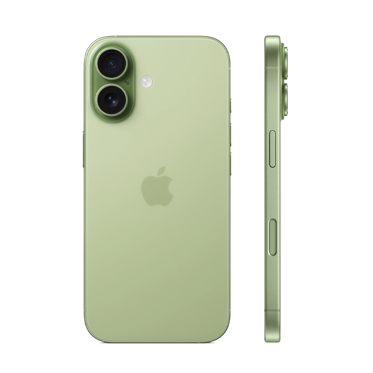 Apple iPhone 17 256GB Sage (MG6N4)