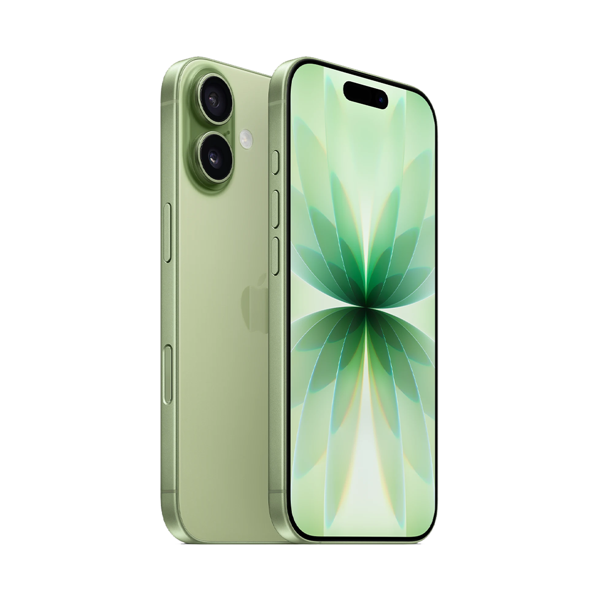 Apple iPhone 17 256GB Sage (MG6N4)