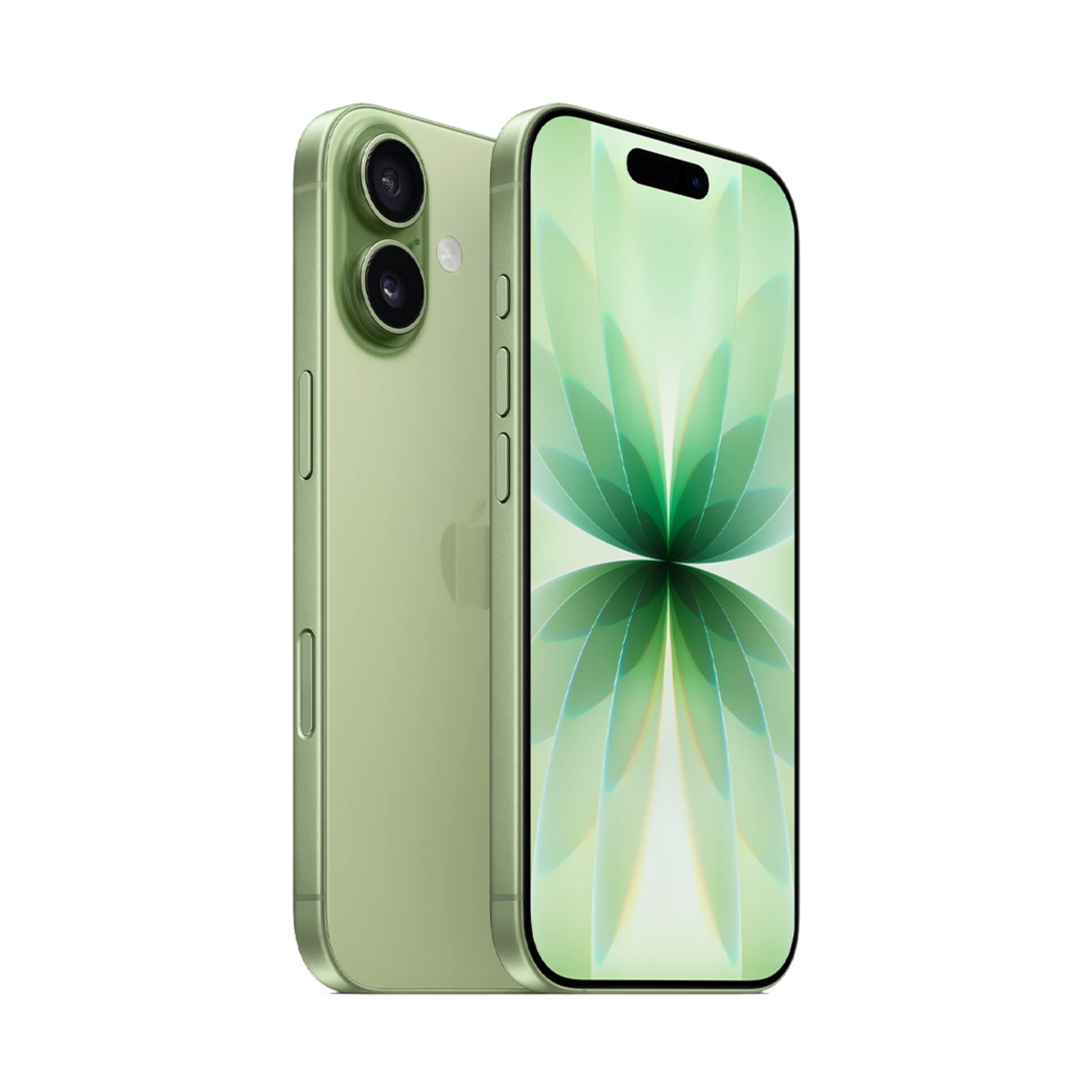 Apple iPhone 17 256GB Sage (MG6N4)