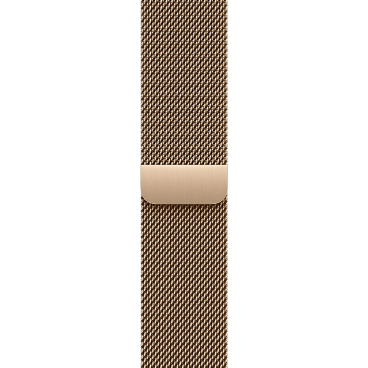 Apple Watch Series 11 GPS + Cellular 42mm Slate Titanium Case with Gold Milanese Loop (MF9K4+MGJ04)
