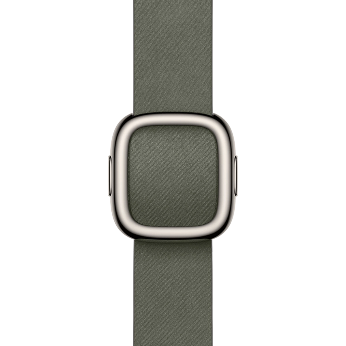 Ремешок Apple Sage Gray Modern Buckle Large для Apple Watch 38/40/41/42mm (MGGC4)