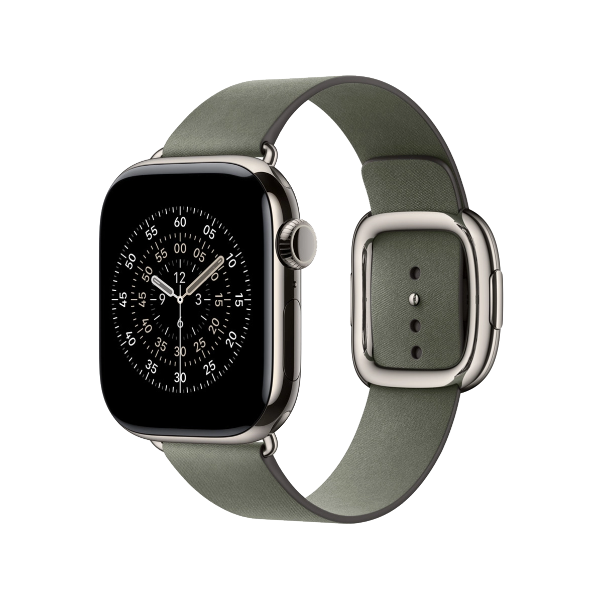 Ремешок Apple Sage Gray Modern Buckle Medium для Apple Watch 38/40/41/42mm (MGGA4)