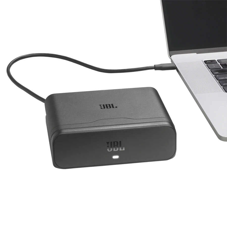 Пара аккумуляторов с док-станцией JBL Battery 600 Duo with Charging Case для PartyBox 720 / 520 и Boombox 4 (JBLBATT600X2CHCASE)