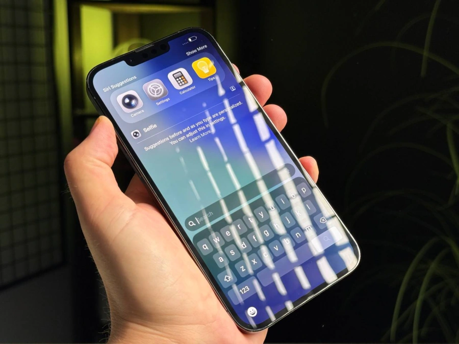 ВЖИВАНИЙ Apple iPhone 13 Pro Max 256GB Graphite (MLKR3, MLLA3) - Стан: гарний | Акумулятор: 100% | Комплектація: iPhone, кабель | Гарантія: 3 міс.