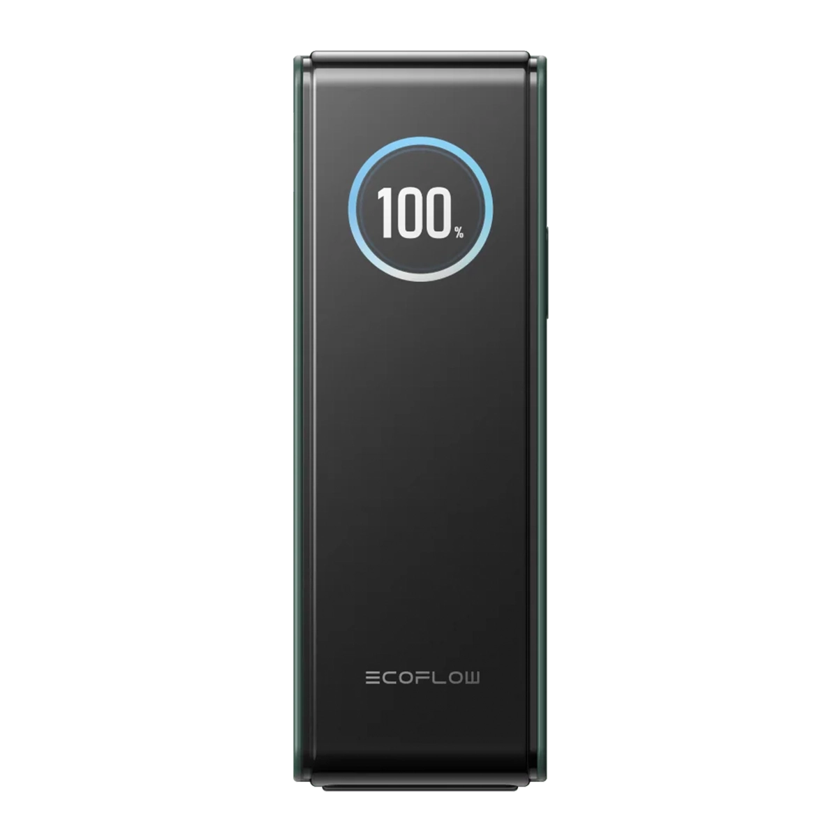 Павербанк EcoFlow RAPID Powerbank 25000mAh 170W - Green (EF-RAPID25K140W-G-EU)