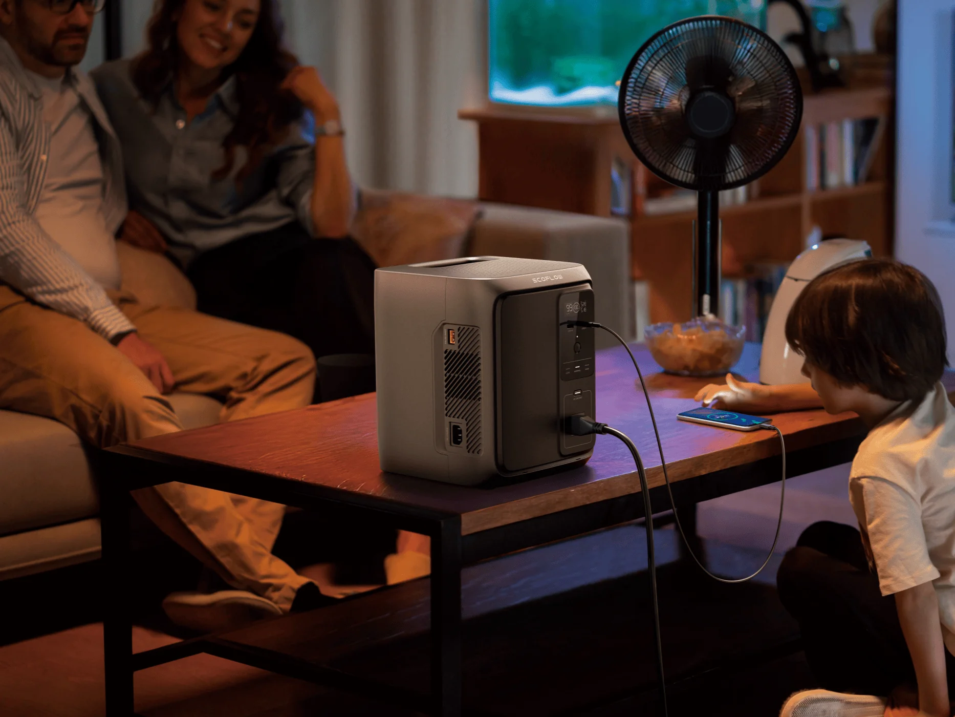 Портативна зарядна станція EcoFlow DELTA 3 1000 Air [10ms UPS] | 960Wh 800W