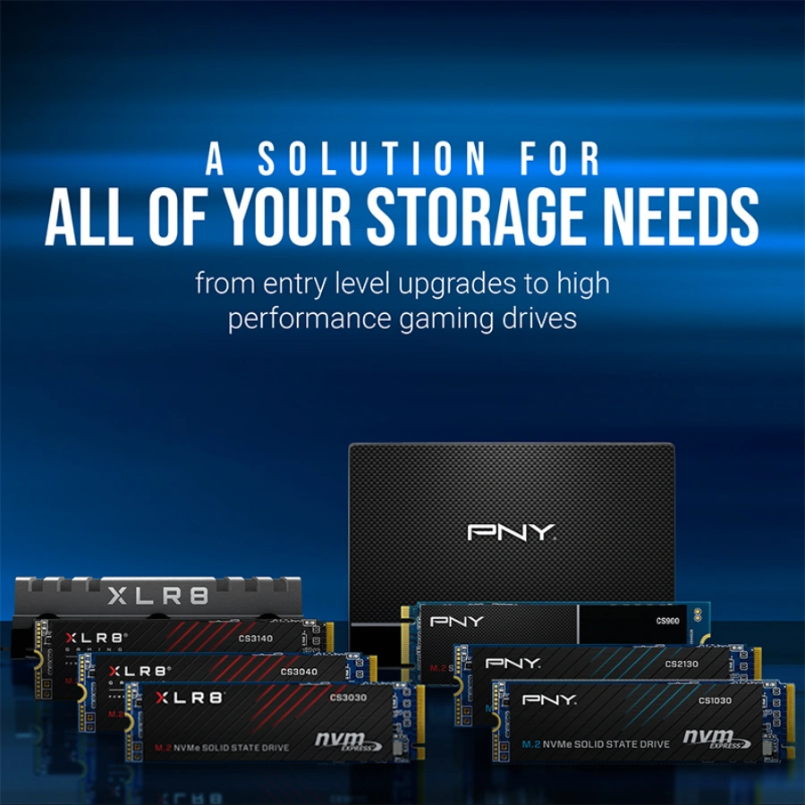 SSD накопитель PNY CS900 250GB (SSD7CS900-250-RB)
